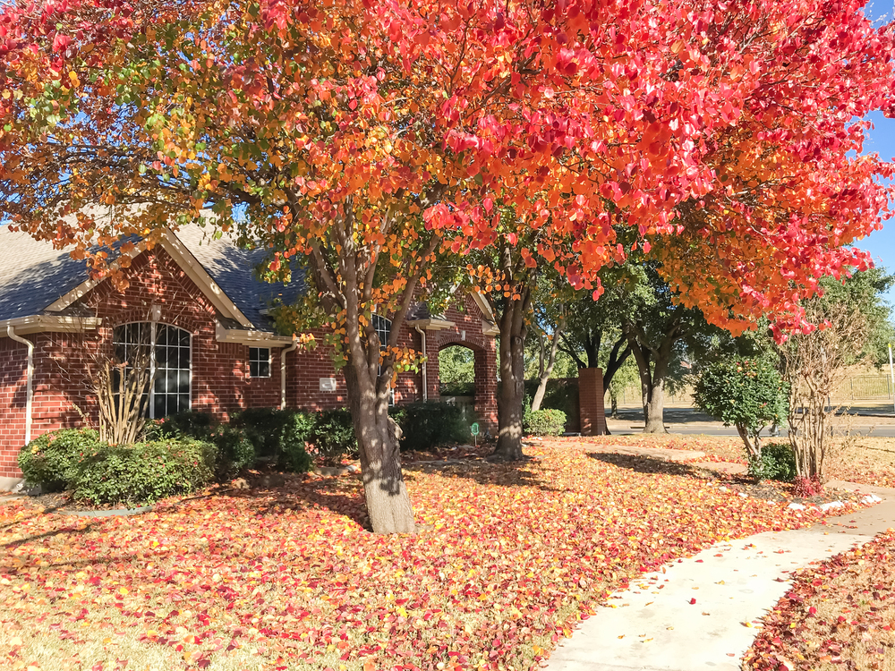 Fall landscaping services in North Carolina