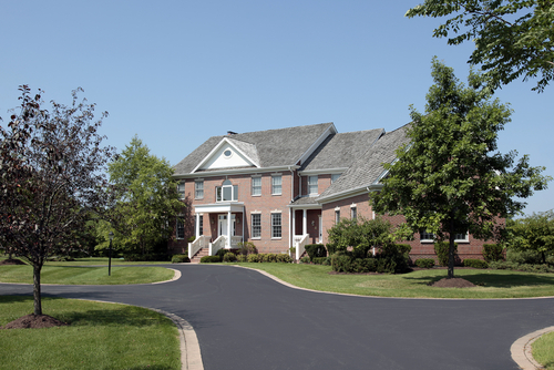 low-maintenance landscape