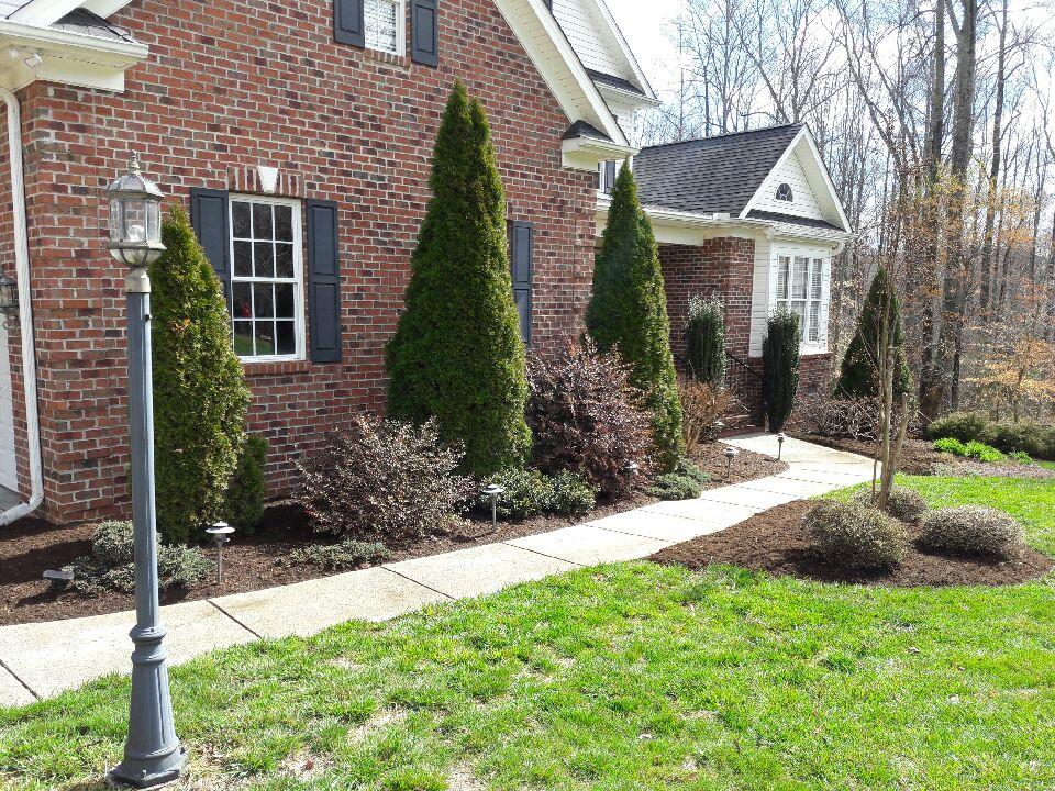 modern landscape renovation